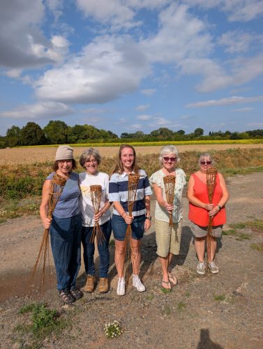 PXL 20250731 153629442