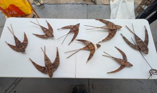 PXL 20250904 152145671